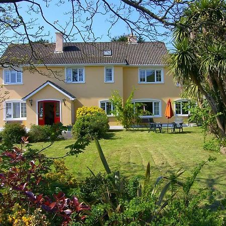Ashe'S Accommodation Dingle Eksteriør billede